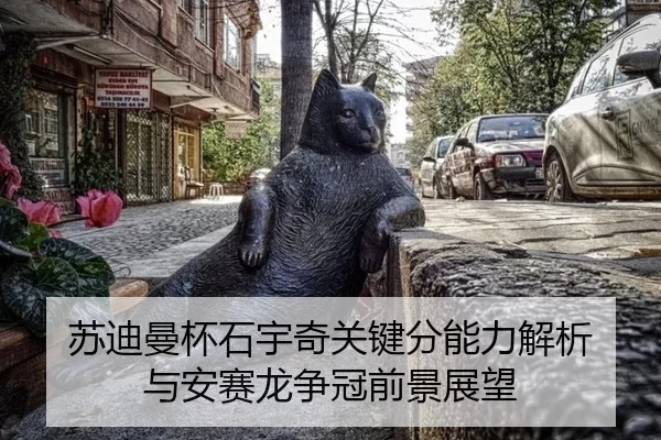 su-di-man-bei-shi-yu-qi-guan-jian-fen-neng-li-jie-xi-yu-an-sai-long-zheng-guan-qian-jing-zhan-wang-2-238.jpg