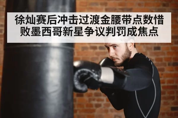 boxer training punching bag